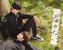 汕头seo优化作用